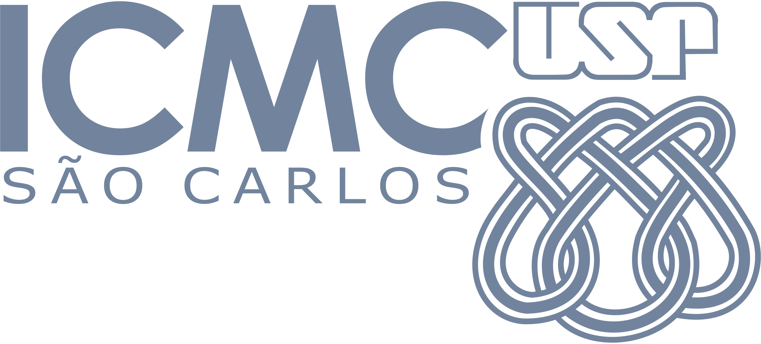 Logo ICMC
